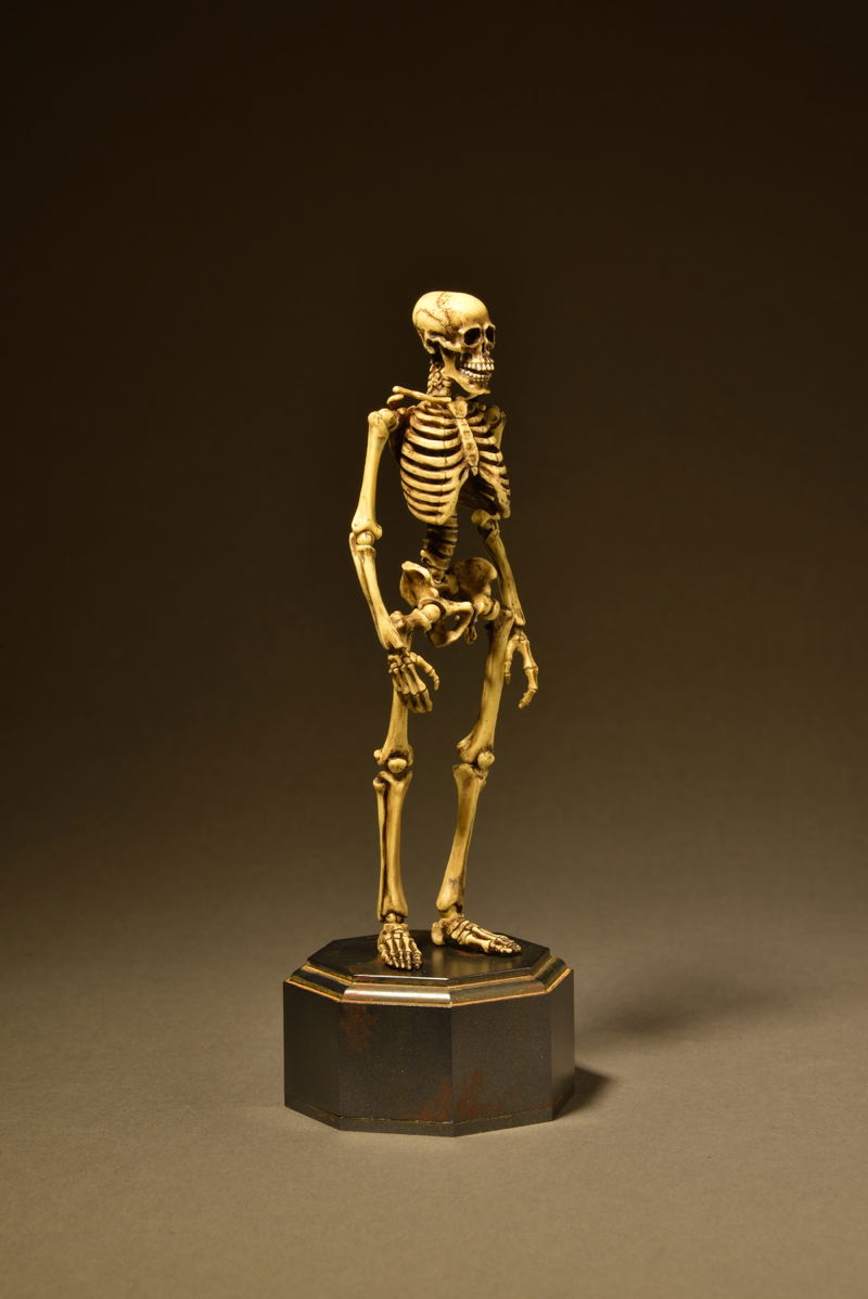 KT Project KT-006 Takeya Freely Figure: Skeleton Color Edition image 8
