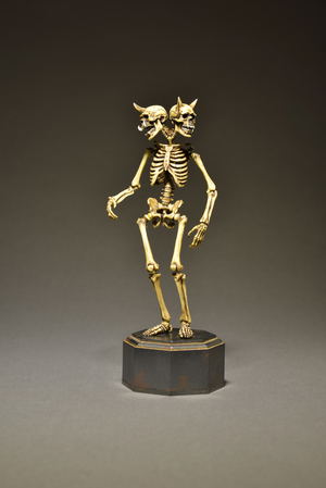 KT Project KT-006 Takeya Freely Figure: Skeleton Color Edition_