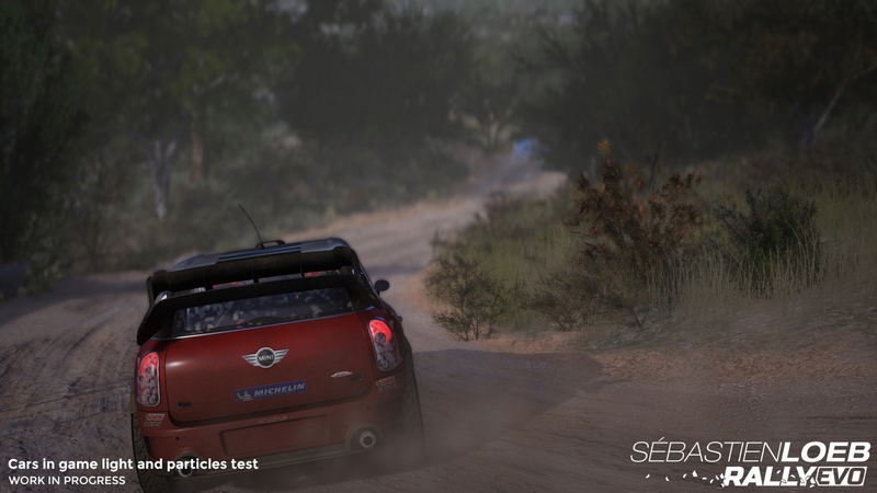 Sebastien Loeb Rally Evo image 8