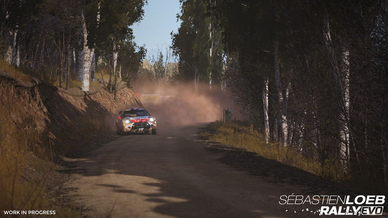 Sebastien Loeb Rally Evo image 11