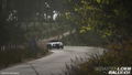 Sebastien Loeb Rally Evo thumbnail 14