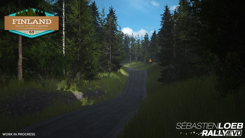 Sebastien Loeb Rally Evo image 15