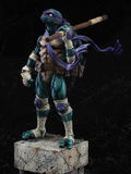 Teenage Mutant Ninja Turtles: Donatello thumbnail 5
