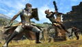 Dragon's Dogma Online Limited Edition (Japanese IP Address only) thumbnail 3