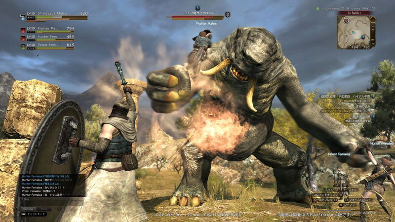 Dragon's Dogma Online Limited Edition (Japanese IP Address only) image 7
