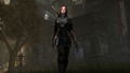 The Elder Scrolls Online: Tamriel Unlimited (DVD-ROM) thumbnail 15