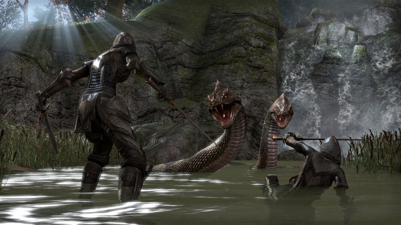 The Elder Scrolls Online: Tamriel Unlimited (DVD-ROM) image 5