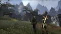The Elder Scrolls Online: Tamriel Unlimited (DVD-ROM) thumbnail 6