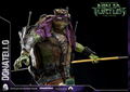 Teenage Mutant Ninja Turtles: Donatello thumbnail 19