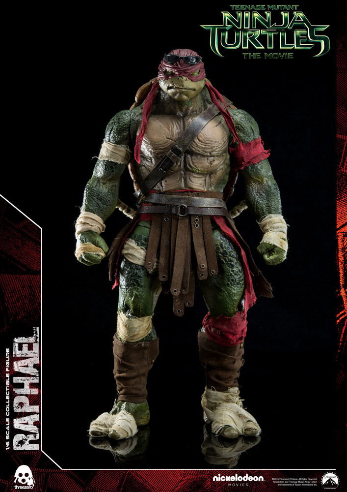 Teenage Mutant Ninja Turtles: Raphael image 3