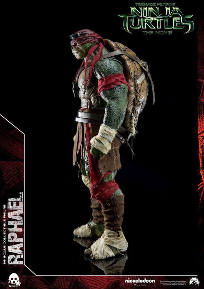 Teenage Mutant Ninja Turtles: Raphael image 5