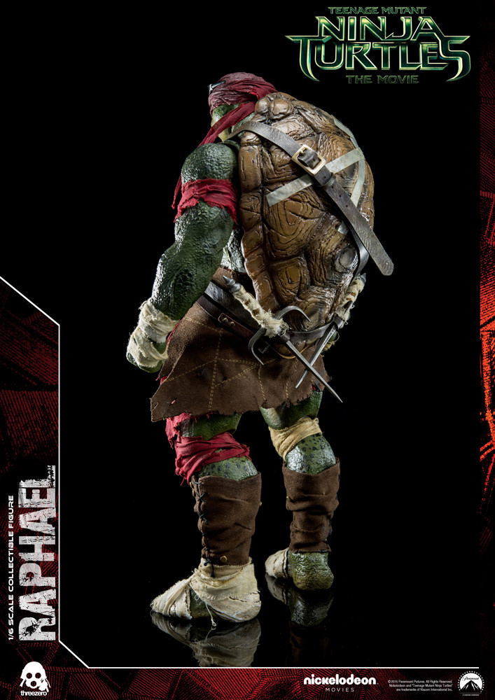 Teenage Mutant Ninja Turtles: Raphael image 6