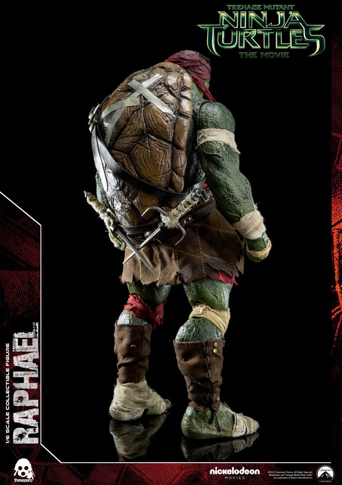 Teenage Mutant Ninja Turtles: Raphael image 8