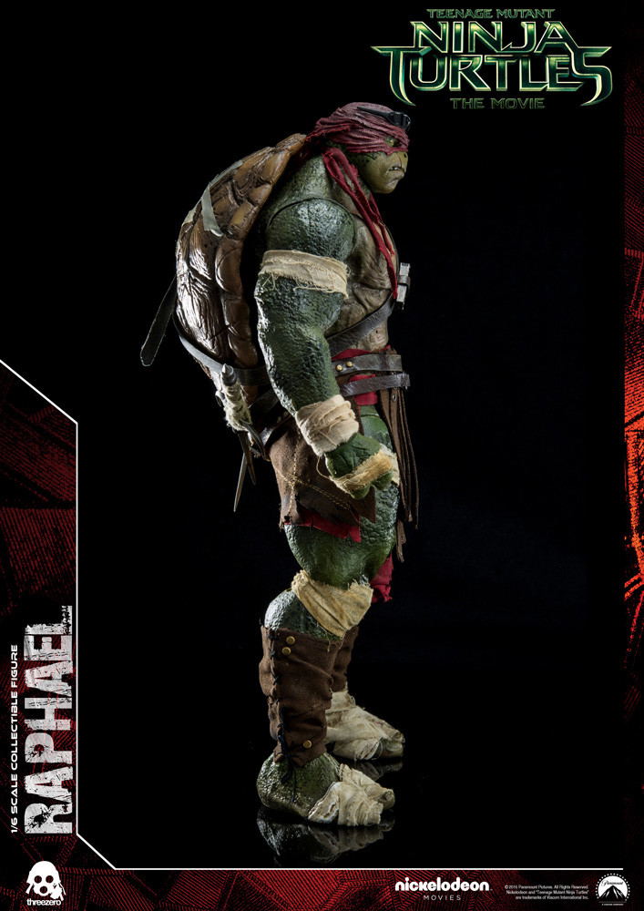 Teenage Mutant Ninja Turtles: Raphael image 9