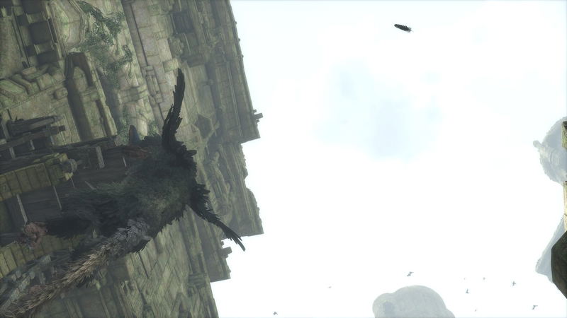 The Last Guardian image 8