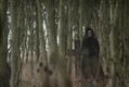 The Woman In Black 2 Angel of Death thumbnail 4