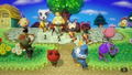 Animal Crossing: amiibo Festival Bundle thumbnail 6