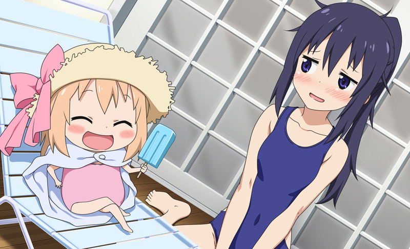 Himouto! Umaru-chan Himouto Ikusei Keikaku [Limited Edition] image 8