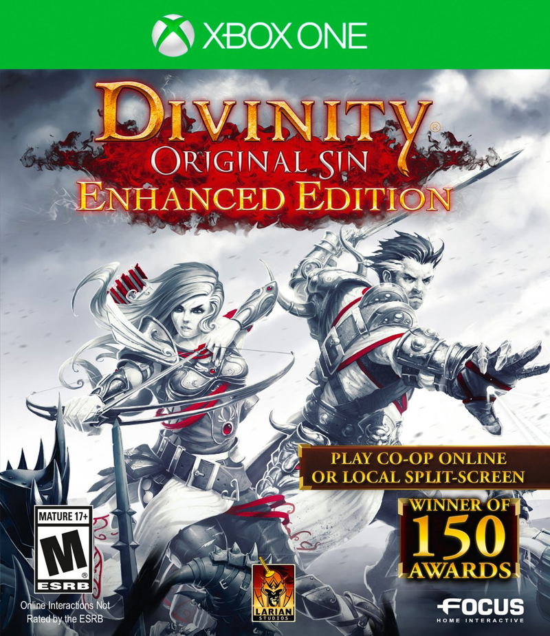 Divinity: Original Sin Enhanced Edition image 1