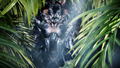 New Nintendo 3DS LL [Monster Hunter Cross Special Pack] thumbnail 10