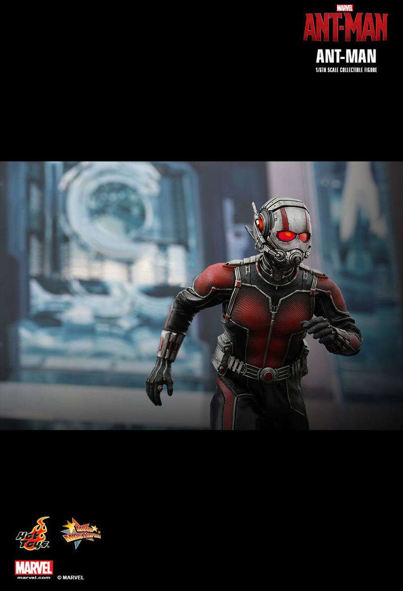 Ant-Man 1/6 Scale Collectible Figure image 11