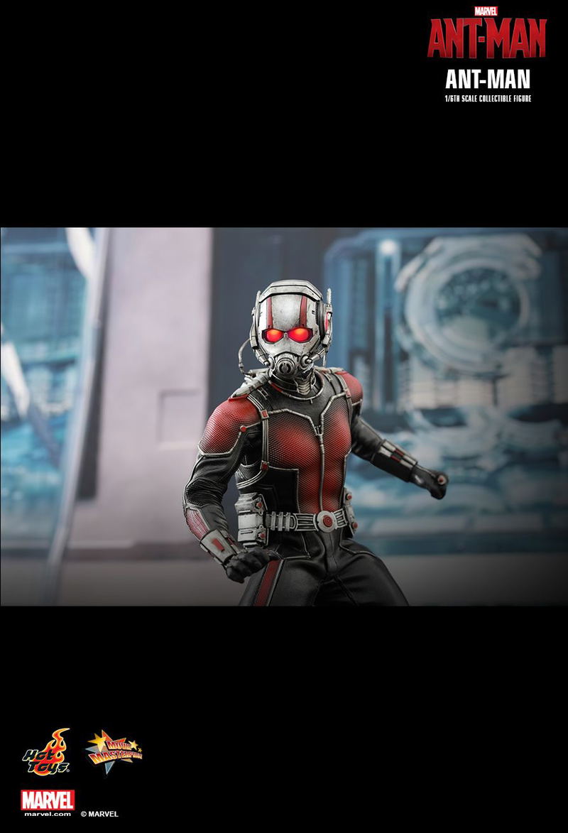 Ant-Man 1/6 Scale Collectible Figure image 12