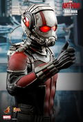 Ant-Man 1/6 Scale Collectible Figure thumbnail 14