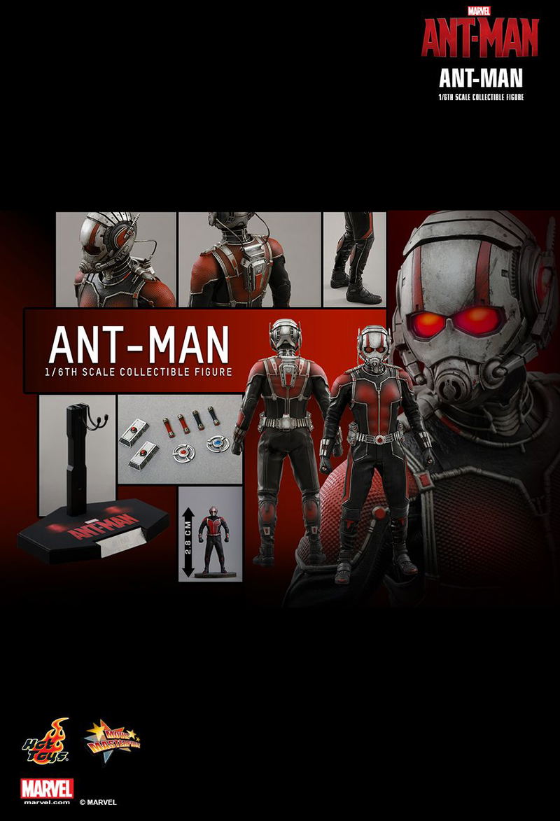 Ant-Man 1/6 Scale Collectible Figure image 17