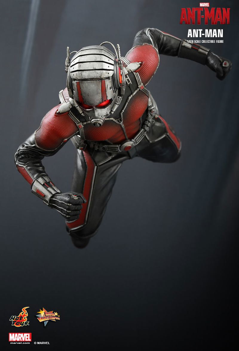 Ant-Man 1/6 Scale Collectible Figure image 6