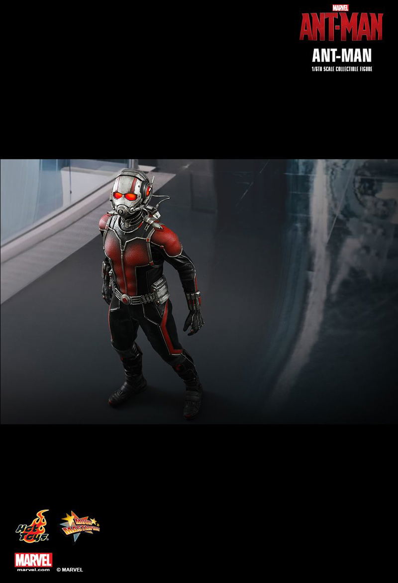 Ant-Man 1/6 Scale Collectible Figure image 7