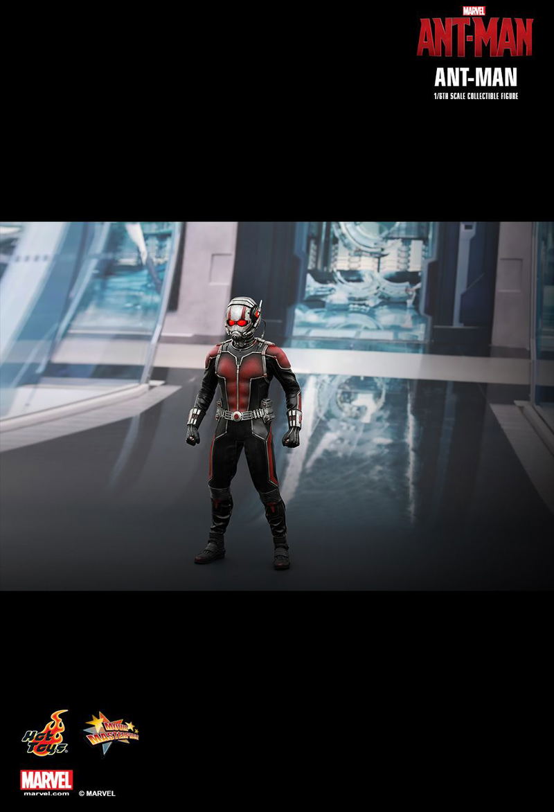 Ant-Man 1/6 Scale Collectible Figure image 8
