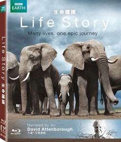 Life Story image 1