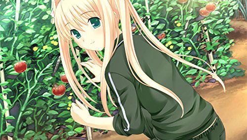 Kono Aozora ni Yakusoku image 4