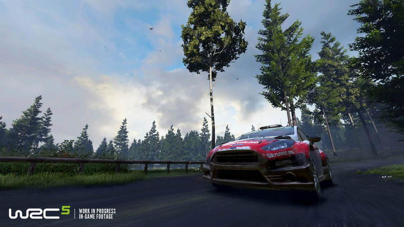 WRC 5 image 7