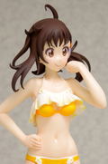 Beach Queens Nisekoi: Onodera Haru thumbnail 7
