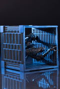 Alien ARTFX+: Alien Warrior thumbnail 17