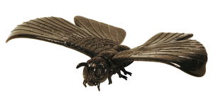 Mothra Jet Black Object Collection: Mothra 1961_