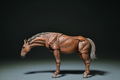 KT Project KT-008 Takeya Freely Figure: Horse Wear Color Scheme thumbnail 8