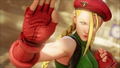 Street Fighter V [Volcanic Edition] thumbnail 23