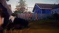 Life is Strange (Limited Edition) (DVD-ROM) thumbnail 11