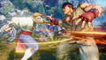 Street Fighter V (Collector's Edition) thumbnail 13