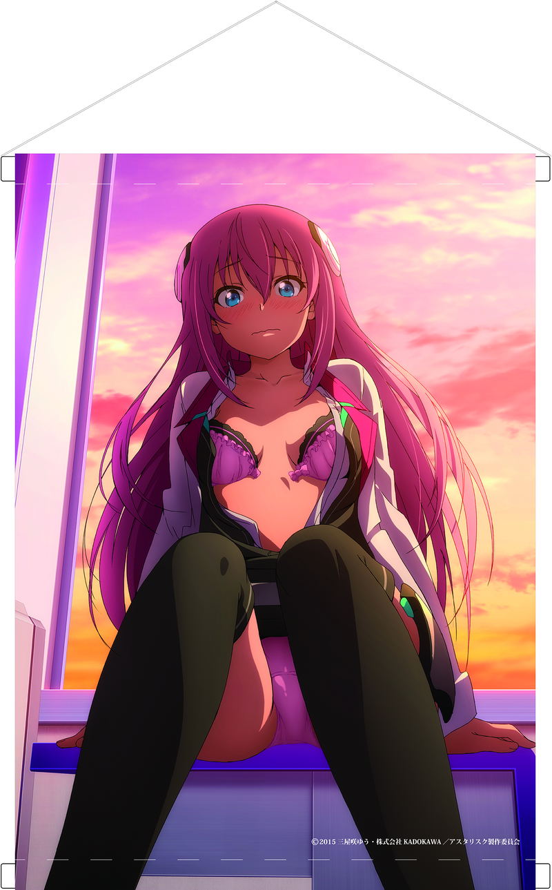 The Asterisk War B2 Wall Scroll image 1