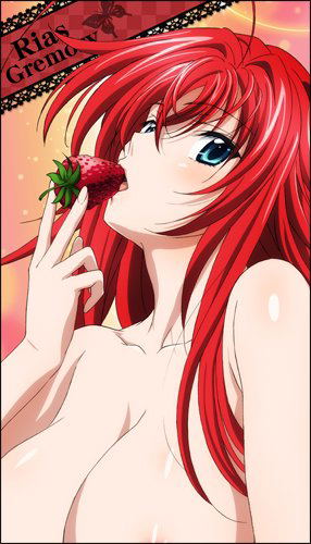 High School DxD BorN Big Towel: Rias Gremory image 1