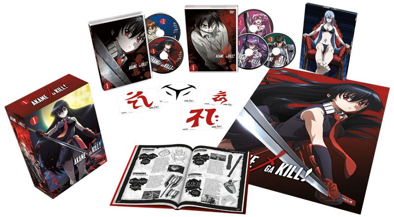 Akame Ga Kill! - Collection 1 (Collector's Edition) [Blu-ray+DVD] image 2