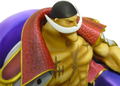 One Piece Archive Collection No. 4: Whitebeard thumbnail 3