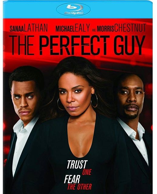 The Perfect Guy image 1