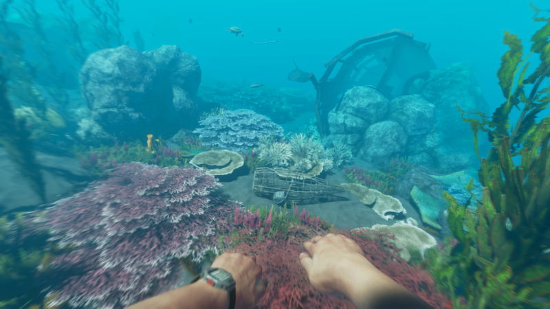 Stranded Deep <span class="ext" style="background-color: #2a475e; color: #FFFFFF;">STEAM</span> <span class="ext ext_digital">digital</span> image 4