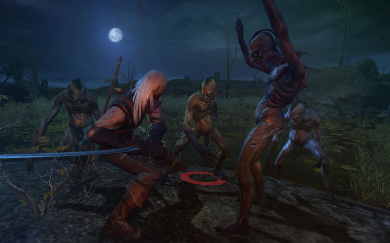 The Witcher (Enhanced Edition) <span class="ext" style="background-color: #2a475e; color: #FFFFFF;">STEAM</span> <span class="ext ext_digital">digital</span> image 13