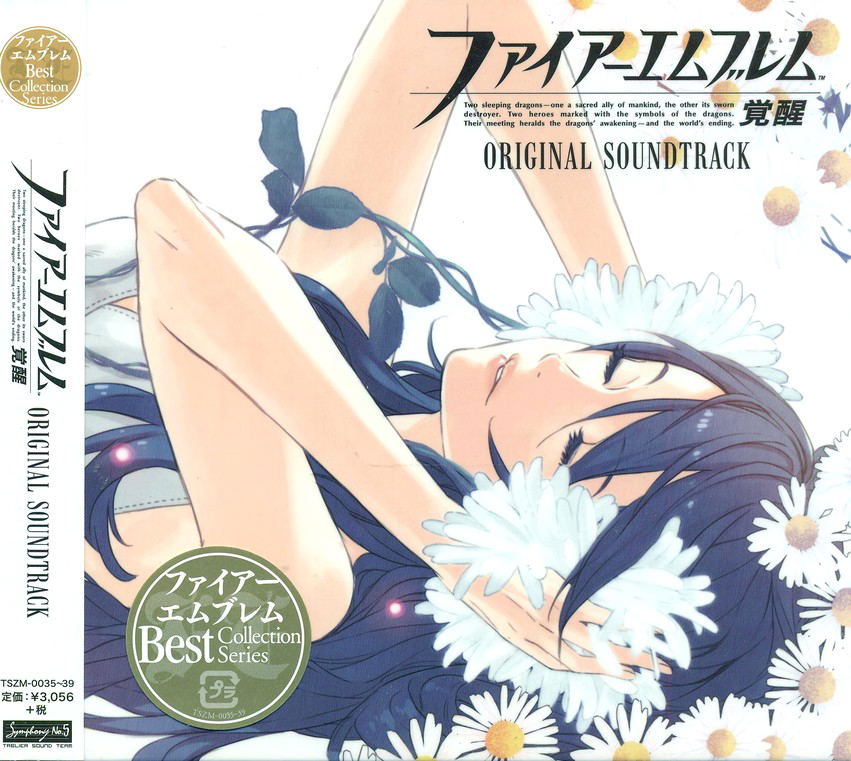 Fire Emblem Best Collection Series - Fire Emblem Awakening