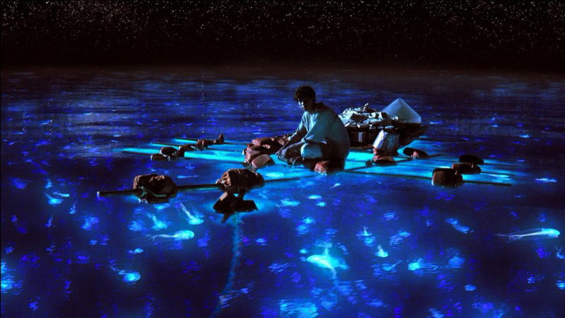Life of Pi [4K UHD Blu-ray] image 4